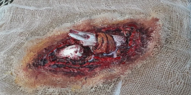 Cheesecloth support, broken stick, liquid latex, shaped, wood glued into latex. Acrylic paint.