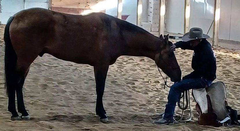 A man sitting and bonding with a horse indoors on sandy ground.