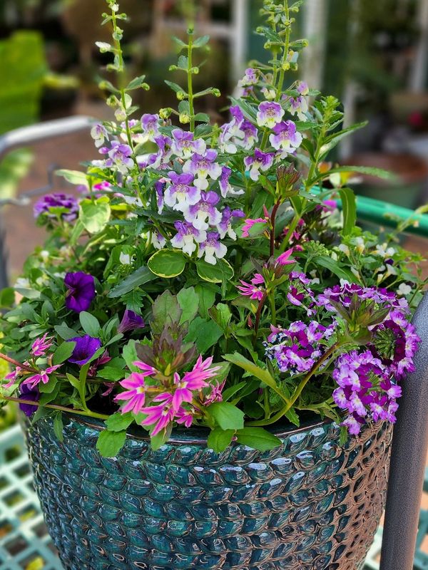 A vibrant pot filled with various purple and pink flowers.