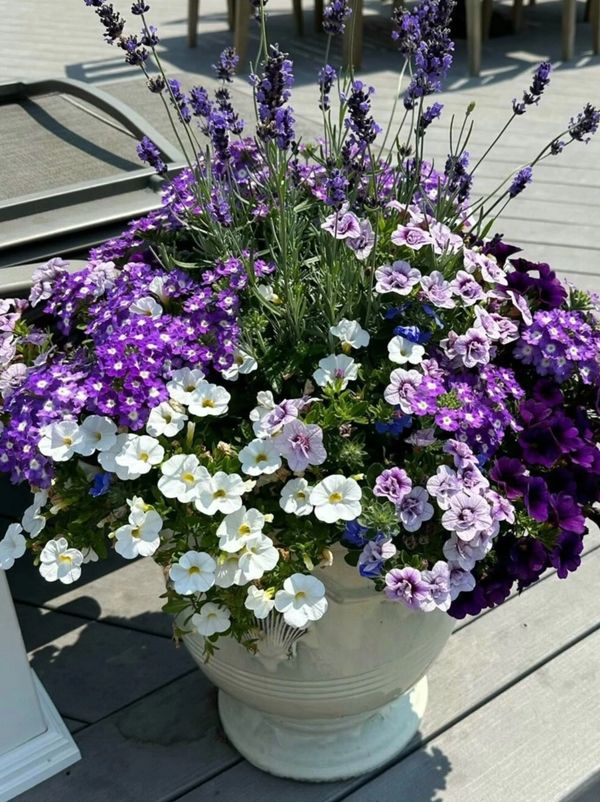 Colorful mixed flowers in a white planter on a wooden deck.
