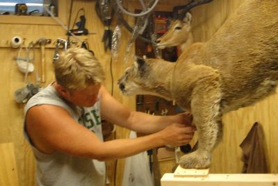 Taxidermy specializing in creative, realistic, natural habitat bases and wildlife environments