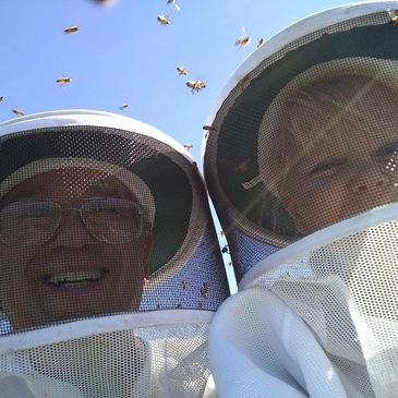 italian bee nucs for sale, nucs for sale in college station, bees for sale in austin, honey bees