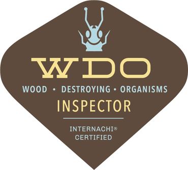 Termite inspections NPMA33