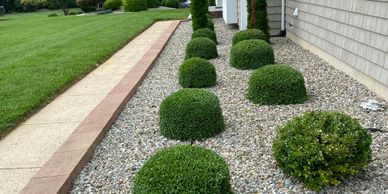 Freshly installed white rock with freshly trimmed boxwoods in holmdel nj