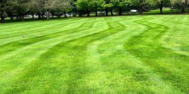 Wavy lines in lawn in colts neck nj