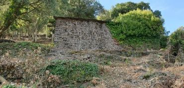 Bodega M
Riberia Sacra
Galicia
Spain