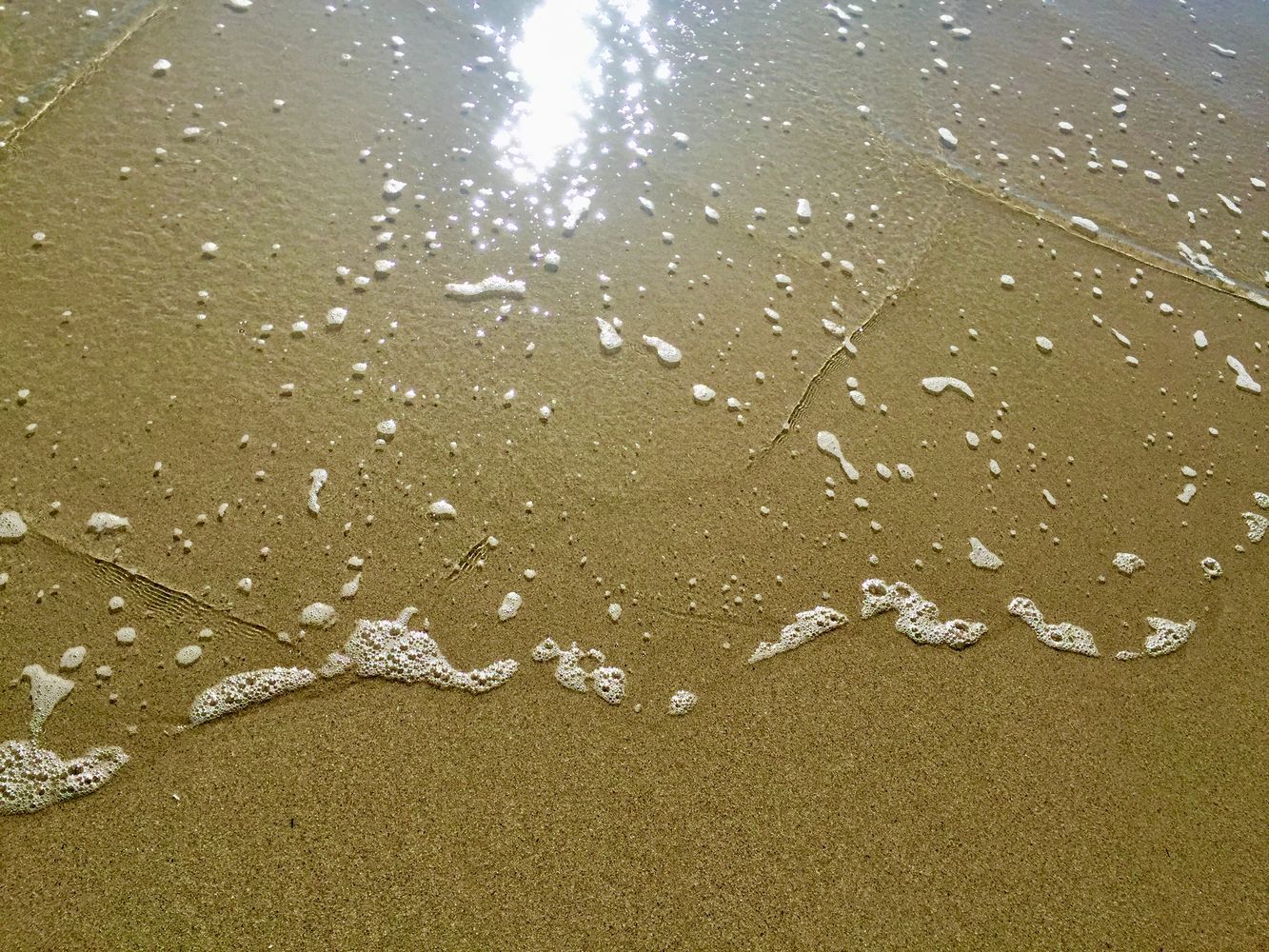 Sunlight on beach