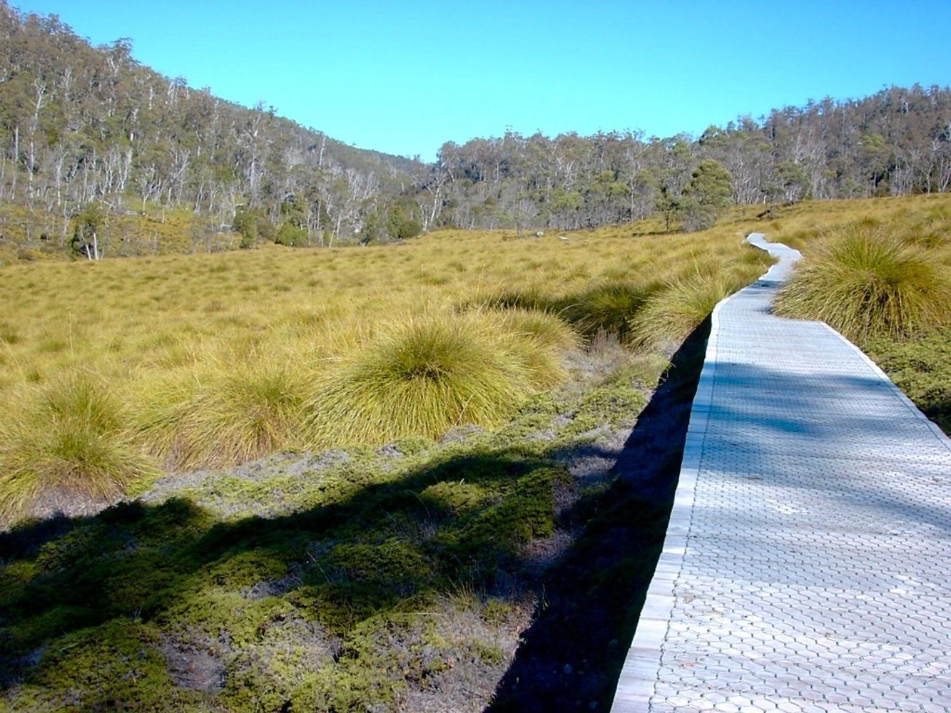 Walking Tasmania