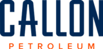 data warehouse consulting oil & gas callon