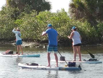 Three people paddleboarding near a green shoreline.