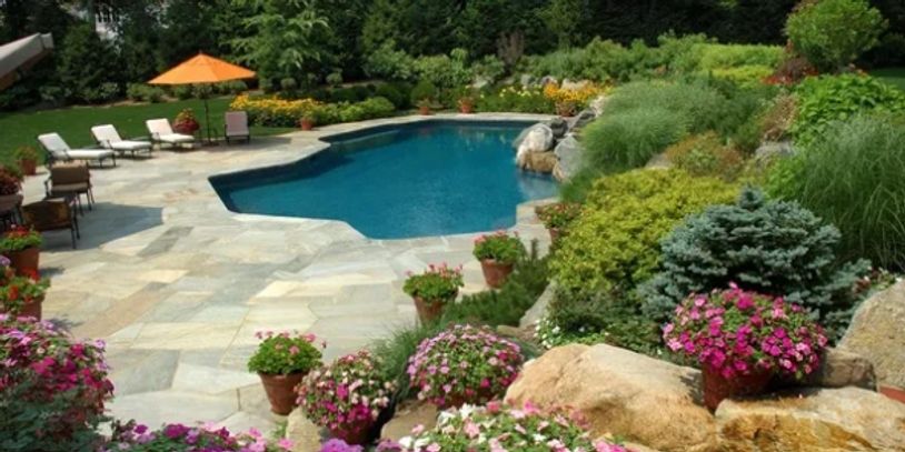 Beautiful backyard pool surrounded by lush greenery and colorful flowers.