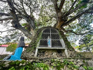 A large tree with a religious statue and a kneeling figure in prayer.
