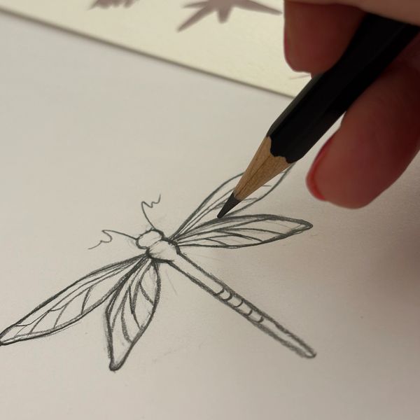 Hand sketching a detailed dragonfly with a pencil on white paper.