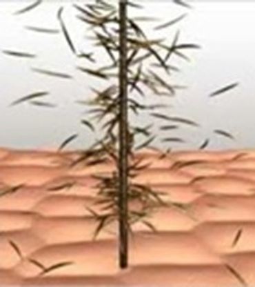 HOW Boom Boom HAIR FIBERS ATTACH TO INDIVIDUAL HAIR STRANDS