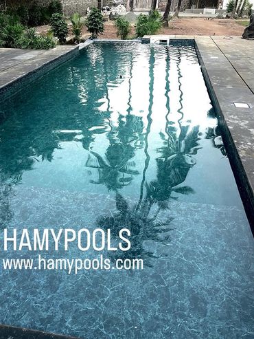 A serene rectangular swimming pool with clear water reflecting palm trees.