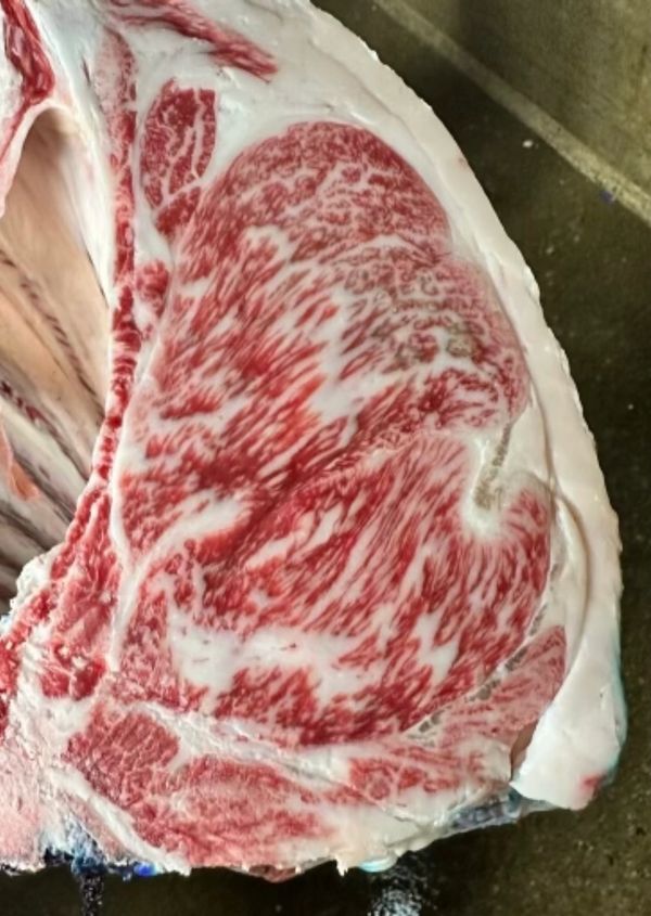 Wagyu Tomahawk Ribeye