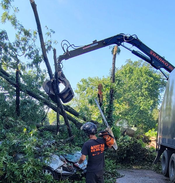 Grapple truck removing fallen limbs from a car after a storm.