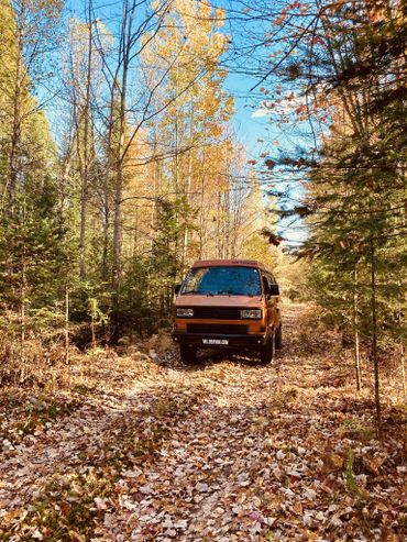 Orange Westfalia van in a forest during autumn with fallen leaves.