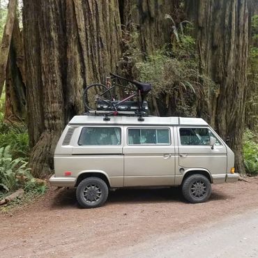 Classic beige van parked in a forest with a bicycle on its roof rack.