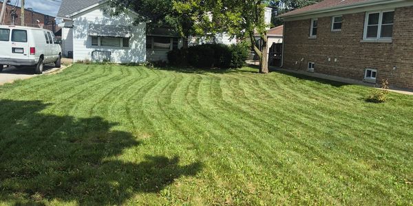 Freshly mowed lawn with mower stripes.