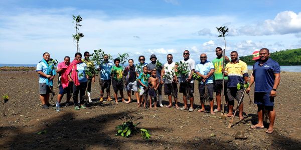 Group planting trees near a beach.