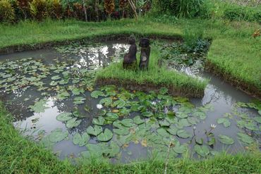 At Cherntawan International Meditation Center in Northern Thailand