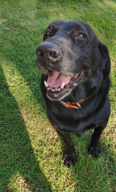 I just had a Spa Bath. Yah!!!