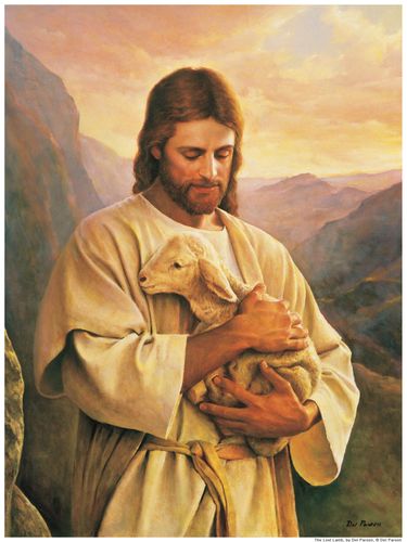 image1427