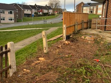 A residential area with trimmed bushes and a newly installed wooden fence.