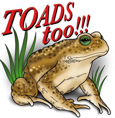 toad removal