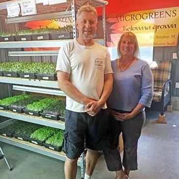 kelowna couple sprout microgreen business local growers 