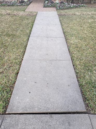 Concrete sidewalk bordered by grass leading to a flowerbed.