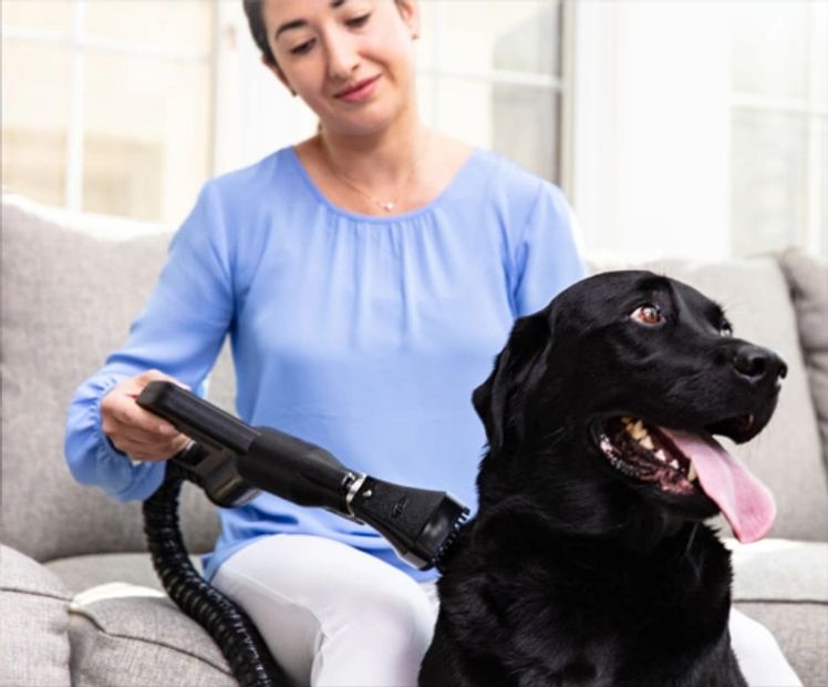 The Pet Grooming Tool gently cleans and grooms your favorite furry friend.