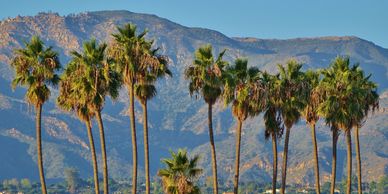 Palm trees in the foreground, with mountain views in the background.
