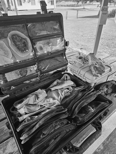 Moulage Kit, fake wounds