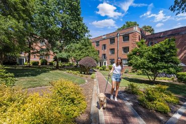 Woman walking a dog on a sunny day in a residential garden.