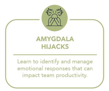 emotional intelligence - amygdala hijacks