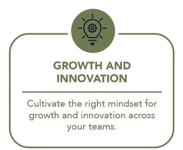 growth mindset and innovation