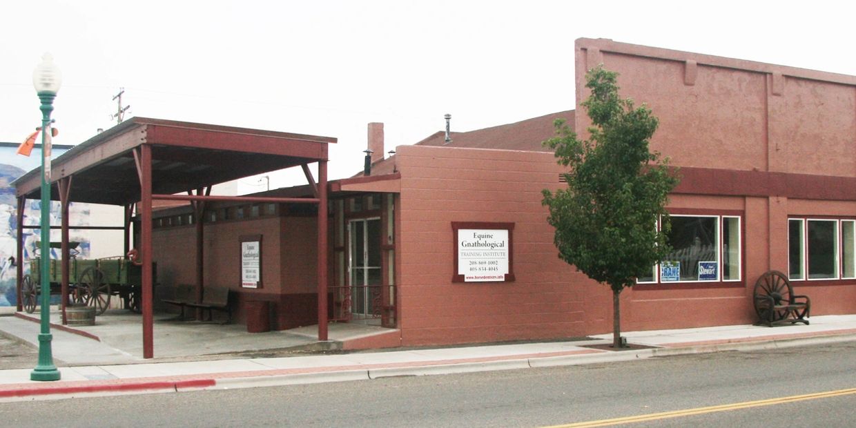 Equine Gnathological Training Institute, Inc.
Down Town, Glenns Ferry, Idaho, USA