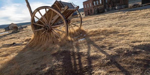 The musical variety at Tatted Taint will blow your mind. And your taint.