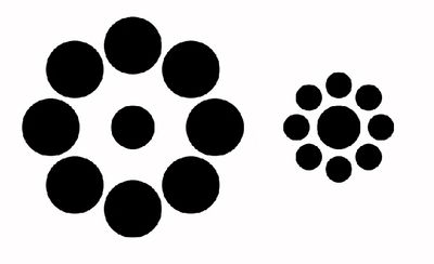 Ebbinghaus illusion