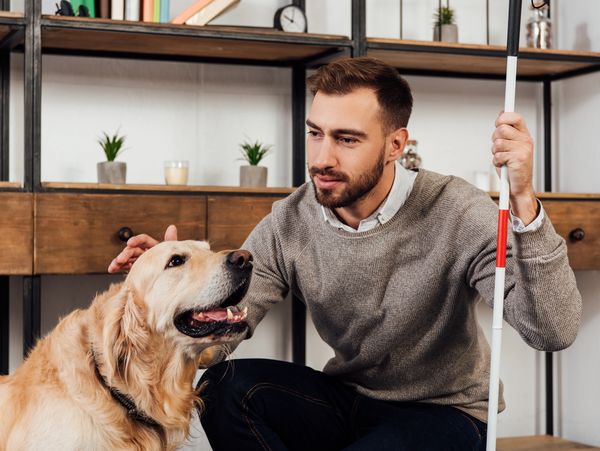 A visually impaired person with a service dog
