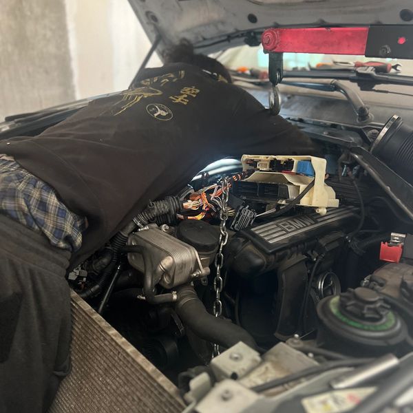 Person working on a BMW engine under the hood of a car.