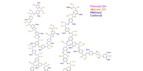 Chemical structure of lignin highlighting different functional groups.