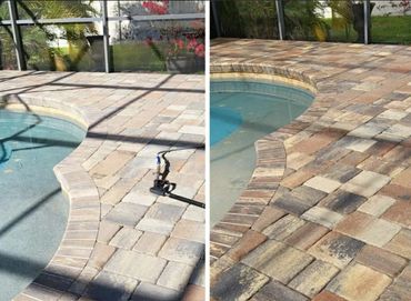 An image of pool deck pavers that have been cleaned and sealed and had growth removed. Algae removal & polymeric sand replacement.
