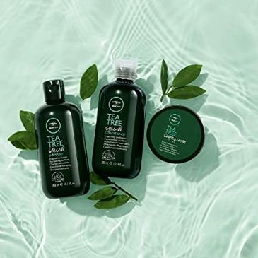 Tea Tree by Paul Mitchell Hair Products Sold at Identité Salone