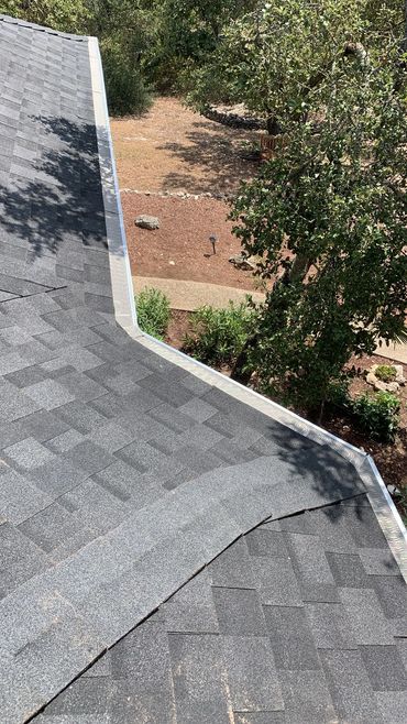 Leaf blaster Leaf Guard