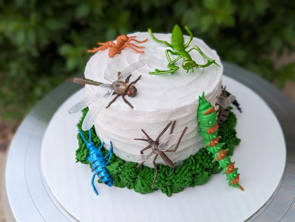 4-inch (3-layer) bug cake, vanilla textured frosting, green grass bottom border, plastic bugs