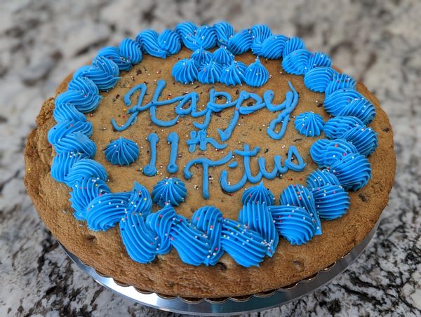 Giant chocolate chip cookie, vanilla frosting in blue, rainbow nonpareils