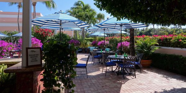 The Colony Hotel Palm Beach, hotel, places to stay, Palm Beach